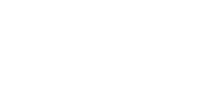 Old Spice logo